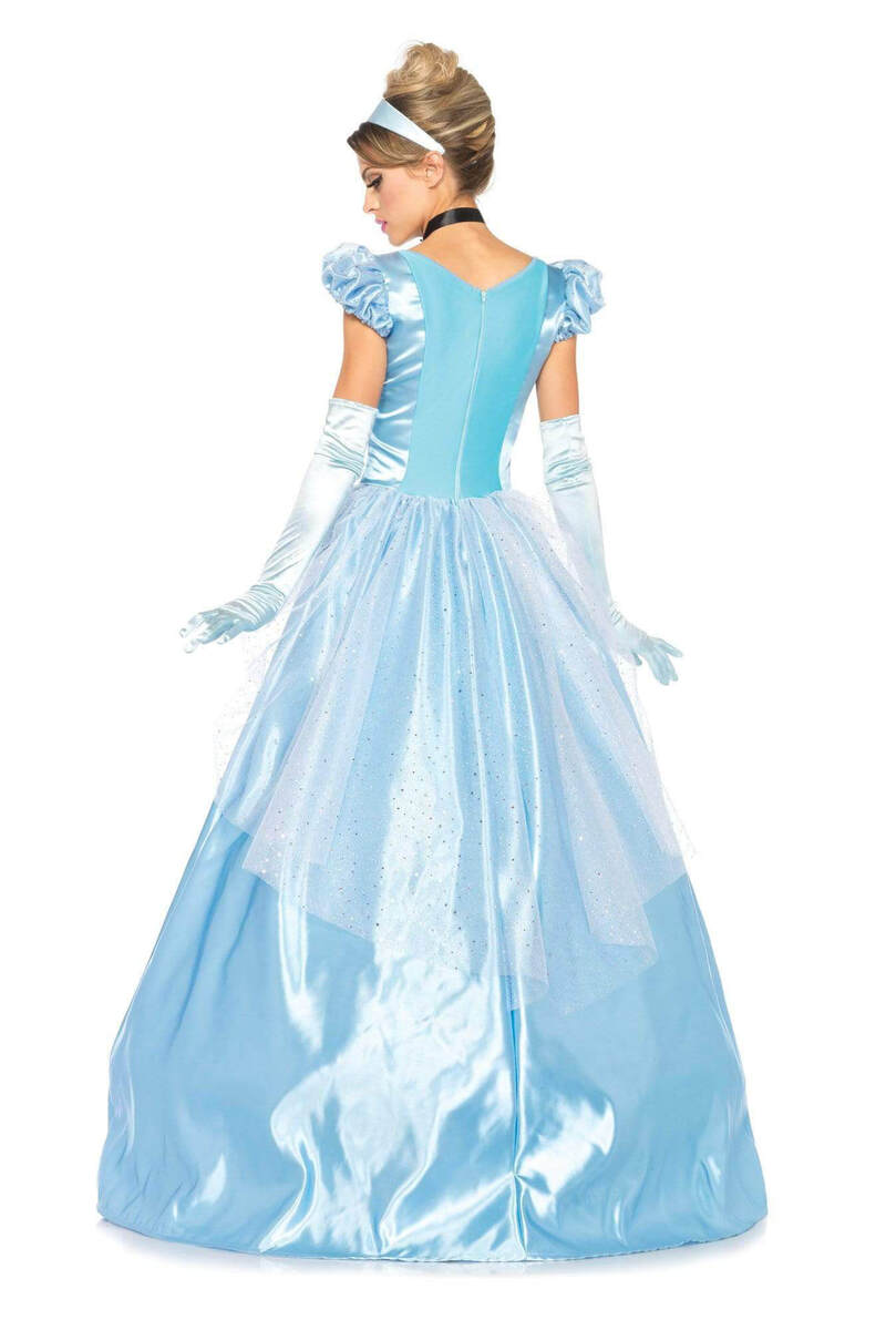 Classic Cinderella Costume