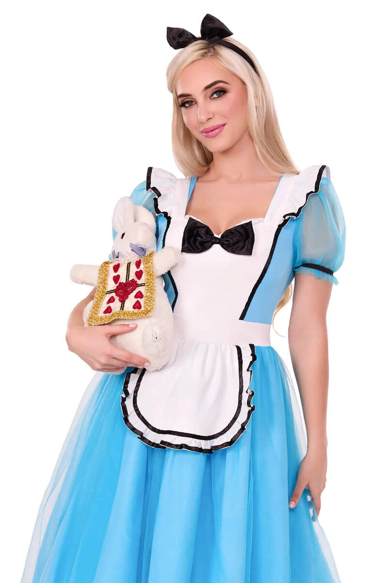 Looking Glass Alice Costume Light Blue Front with Bunny