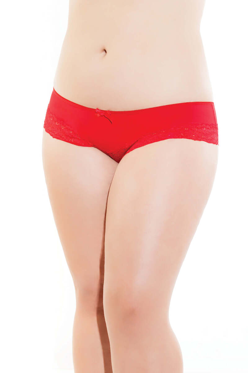 Plus Size Hipster Microfiber Panty