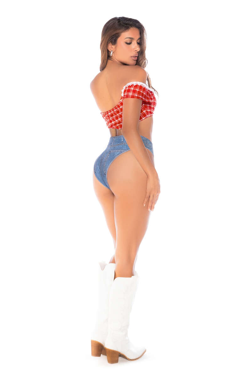 Giddy Up Cow Girl Costume Back