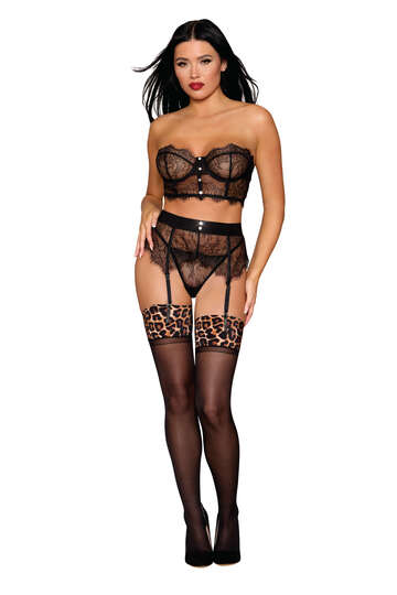 Fiercely Sophisticated Lingerie Set