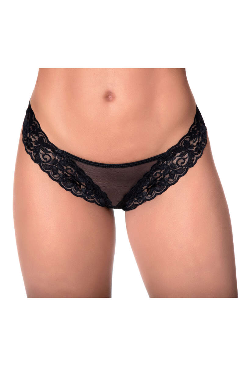 Lace & Mesh Panty