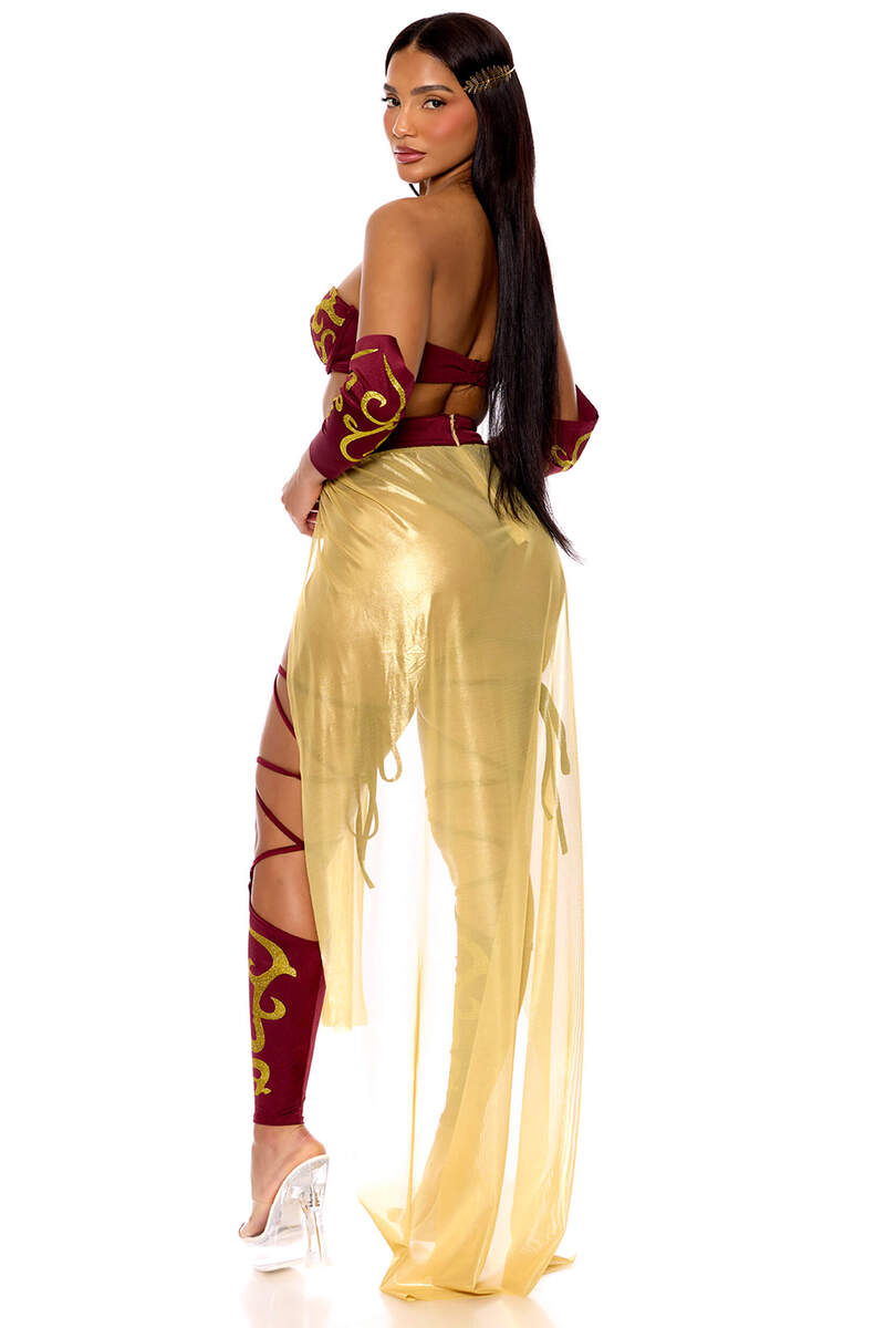 Roman Empire Gladiator Costume