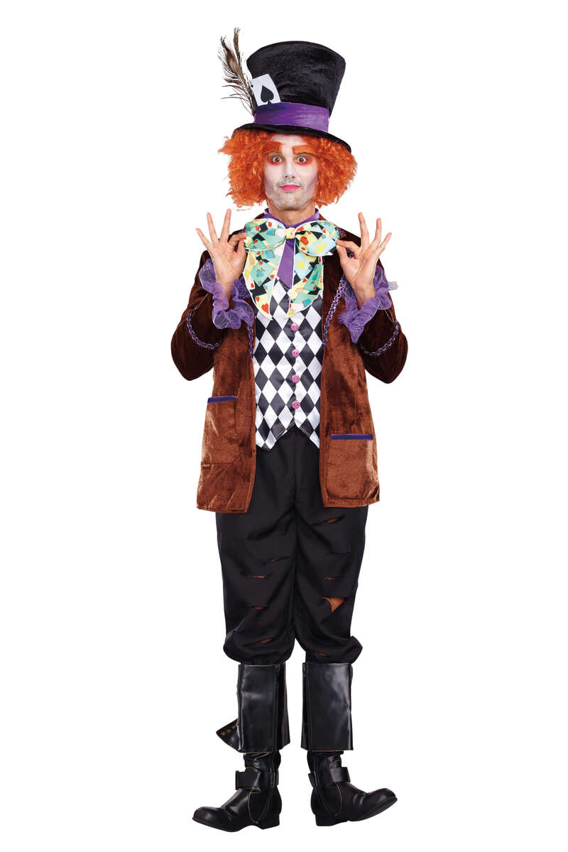 Hatter Madness Men's Costume
