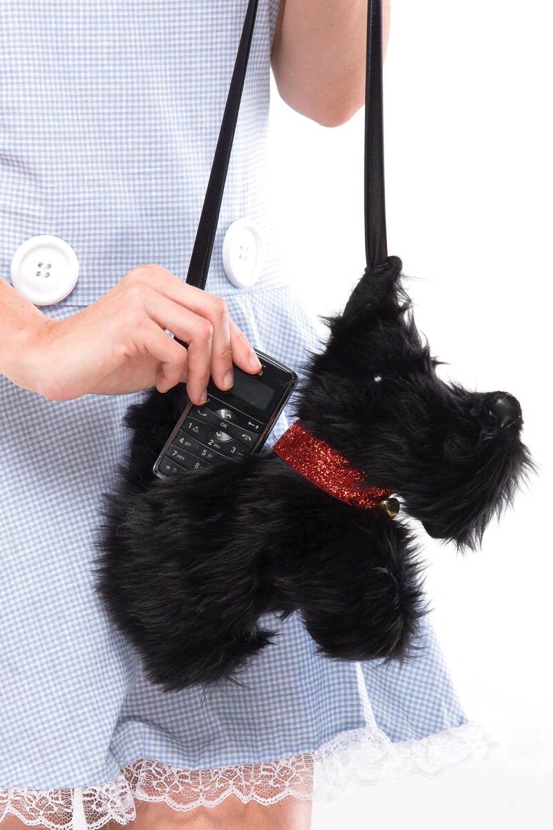 Sweet Dottie Costume