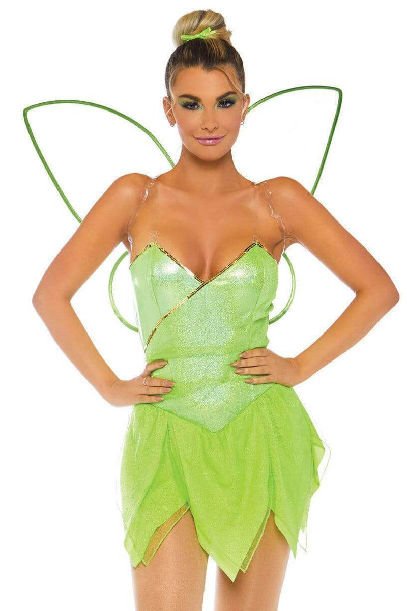 Pretty Pixie Fairy Costume