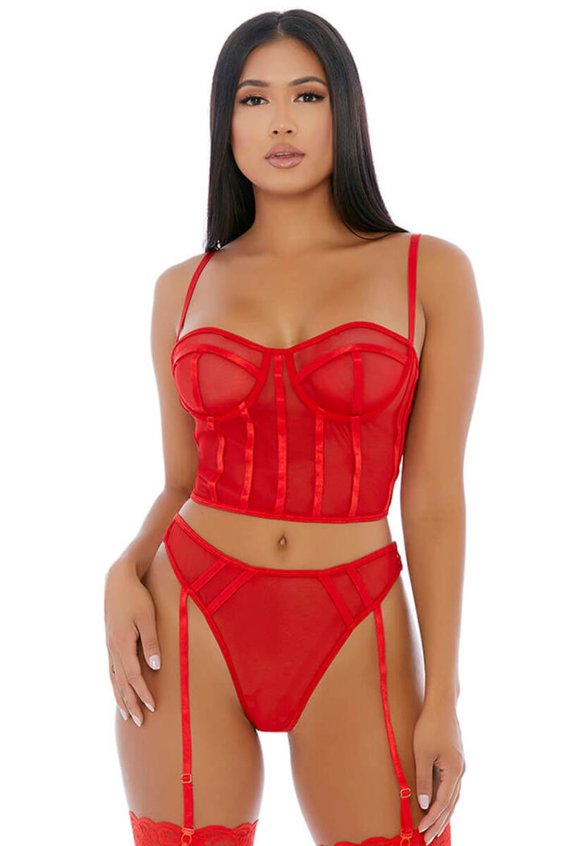 Sheer Intimacy Mesh Bustier Set
