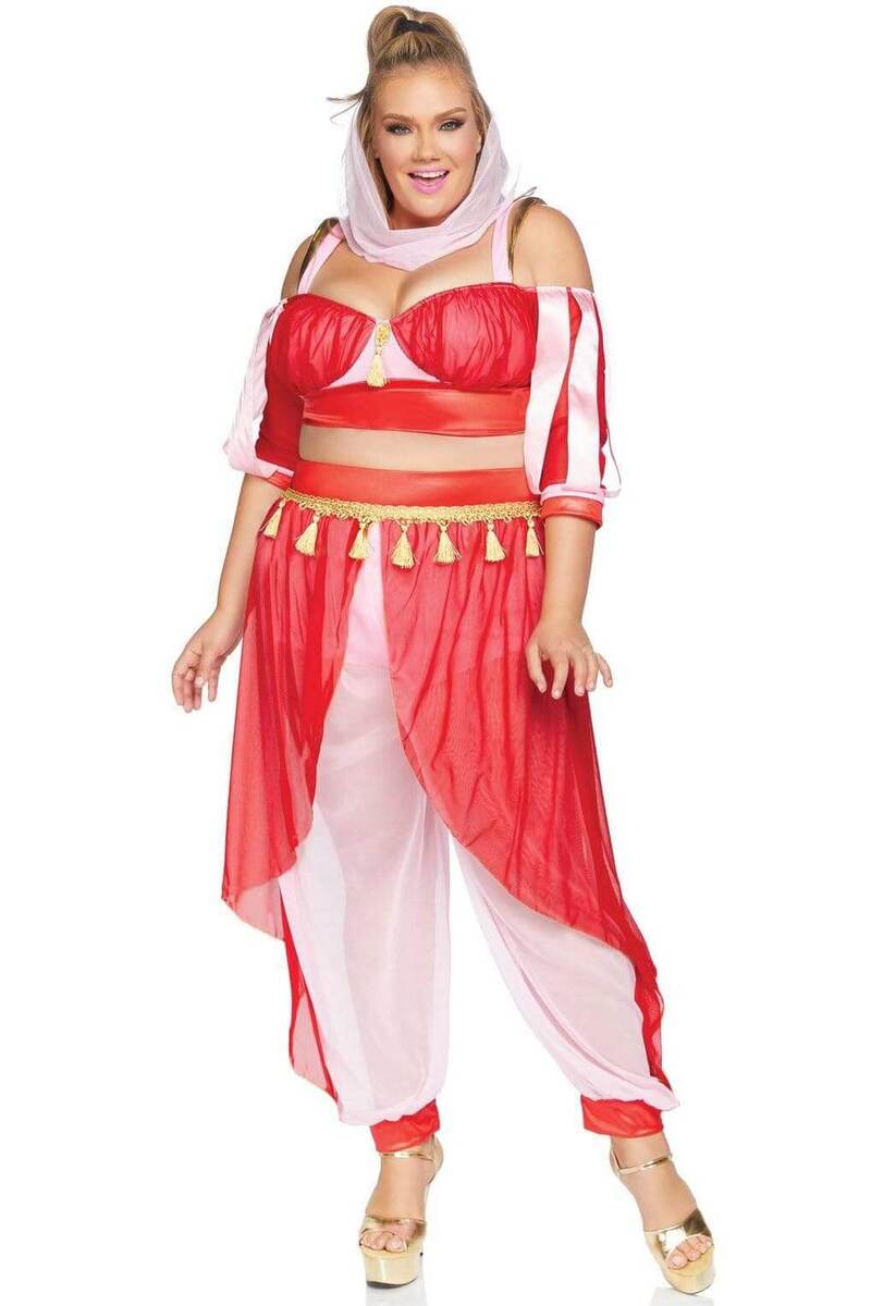 Plus Size Dreamy Genie Costume