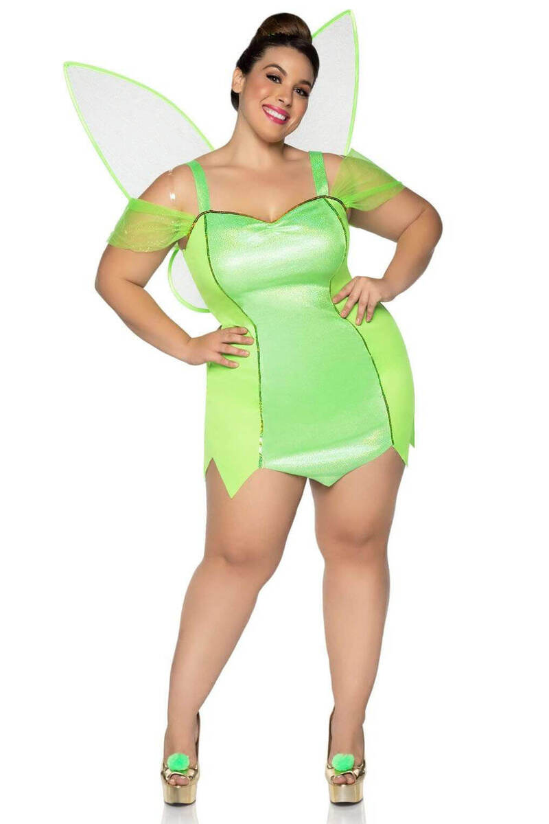 Plus Size Pretty Pixie Fairy Costume