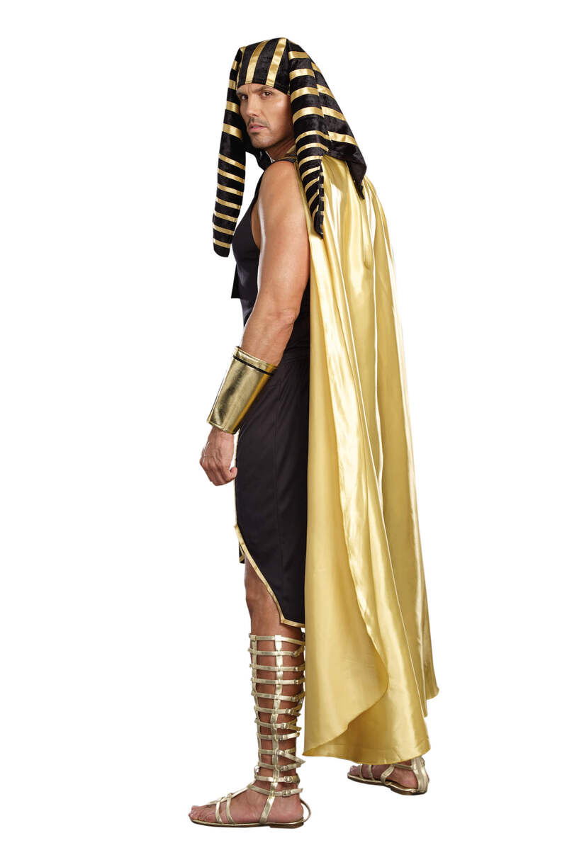 King of Egypt Men's Costume