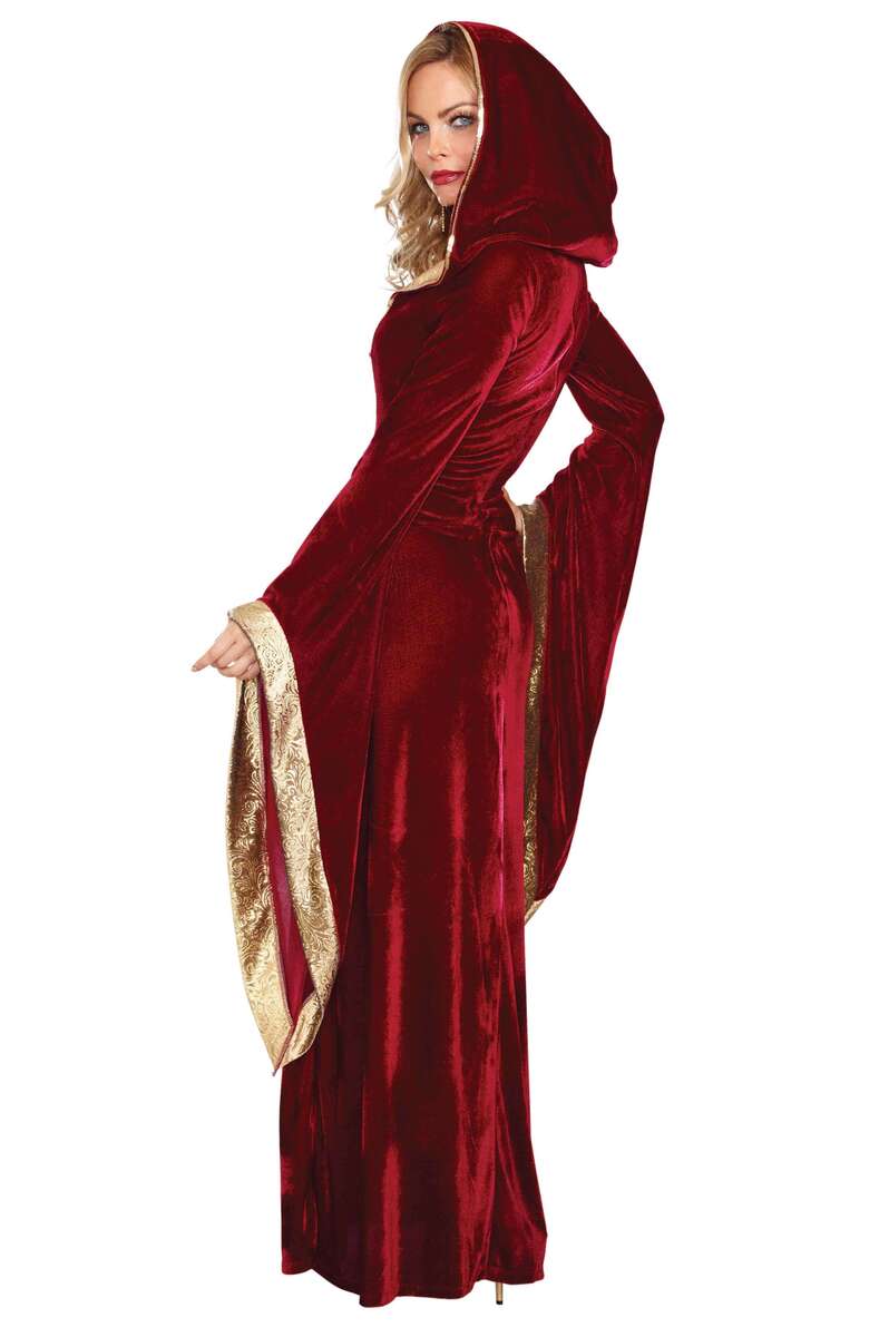 Lady of Thrones Women's Costume