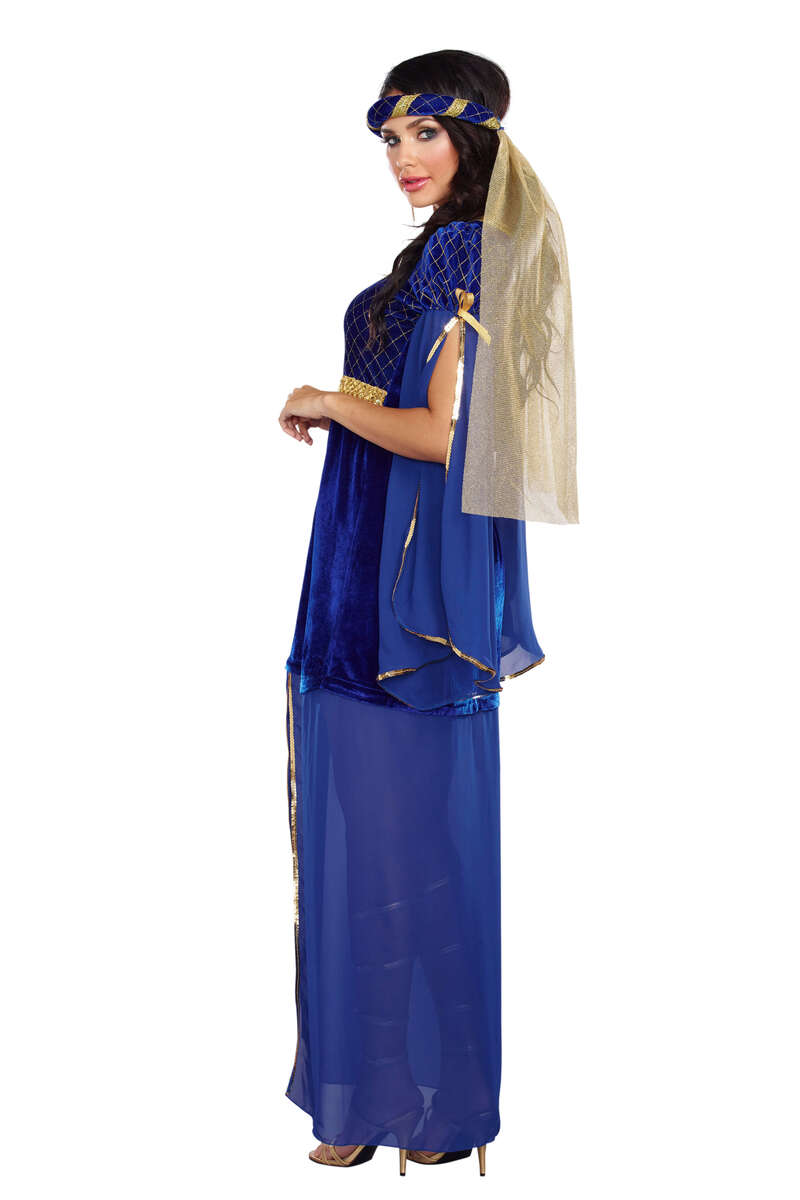 Medieval Mistress Women's Costume