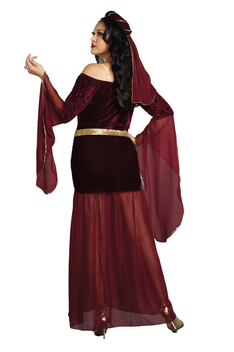 Medieval Enchantress Women's Plus Size Costume