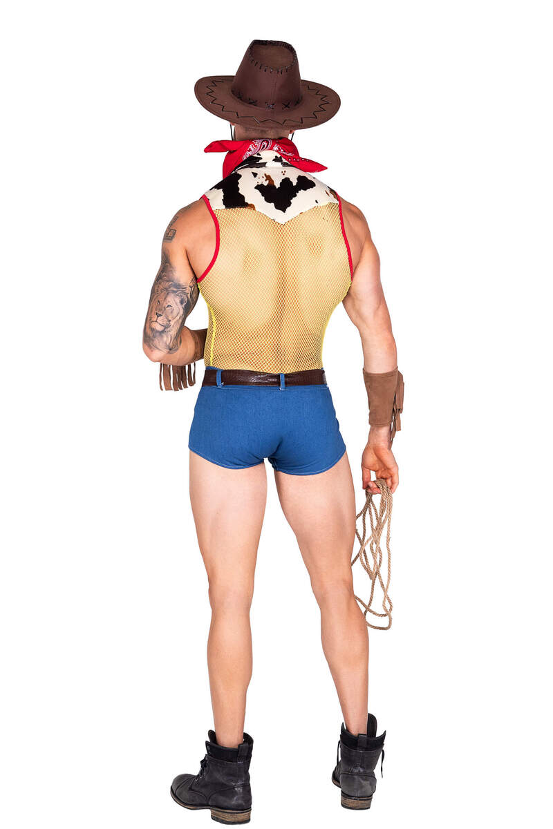 Playful Sheriff Men's Halloween Costume