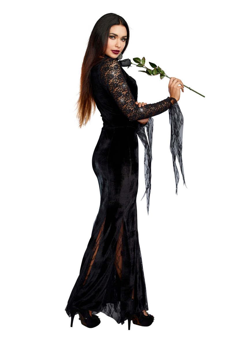 Frightfully Beautiful Women's Costume