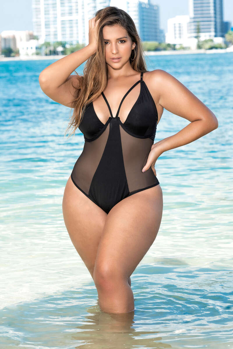 Plus Size Sensationally Sheer One Piece Swimsuit