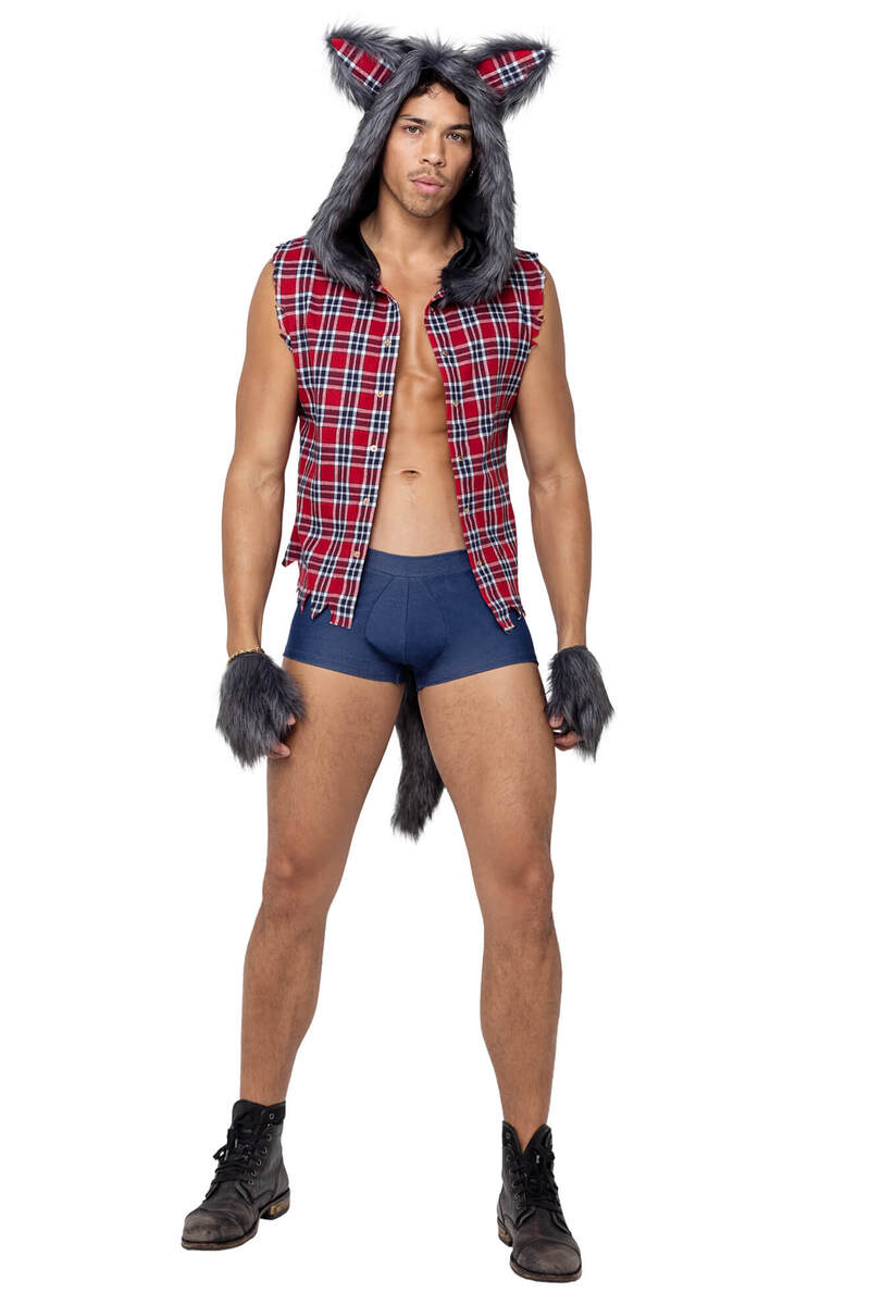 Men's Full Moon Werewolf Costume