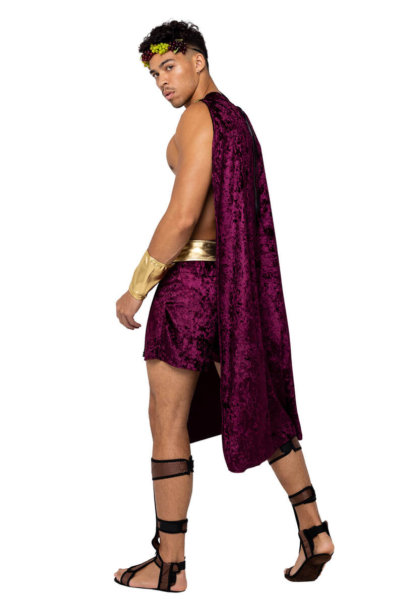 God of Wine Men's Costume