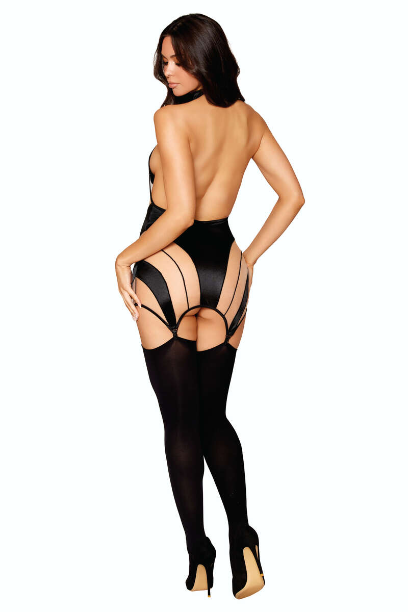 Sheer Panel Garter Slip Black Back