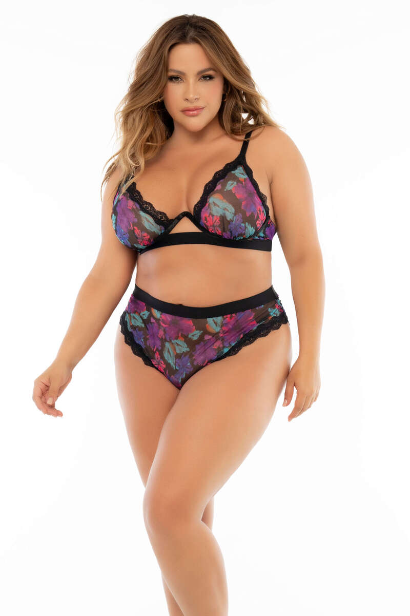 Plus Size Essentially Sheer Lingerie Set