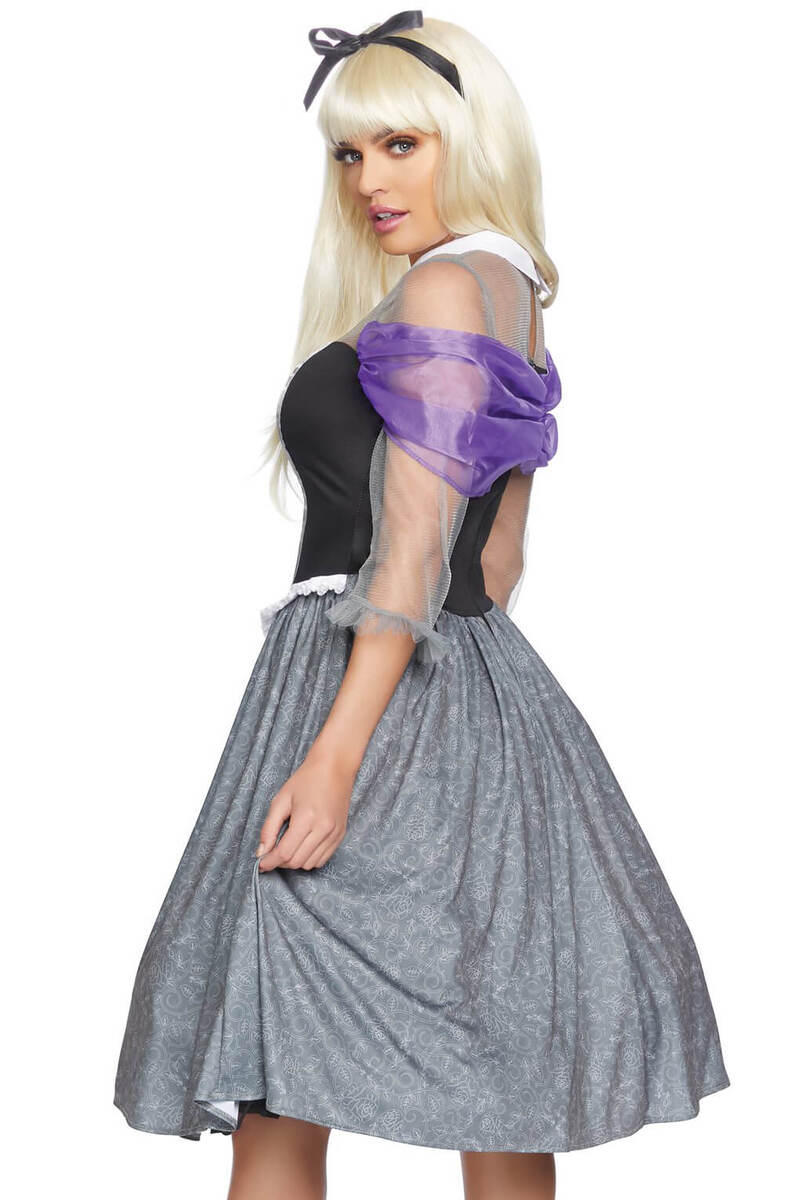 Peasant Sleeping Princess Costume
