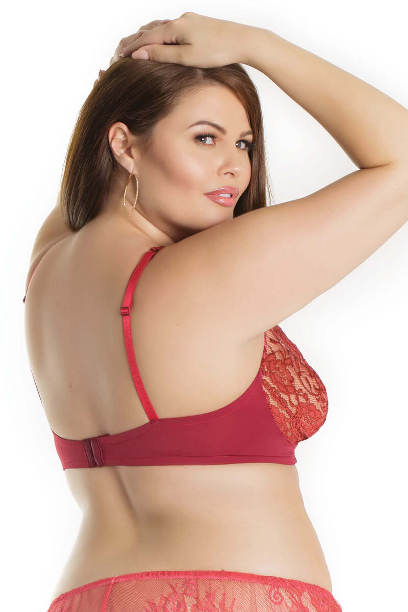 Stretch Lace & Microfiber Plus Size Bra