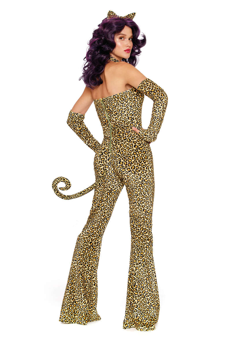 Here Kitty Kitty Costume