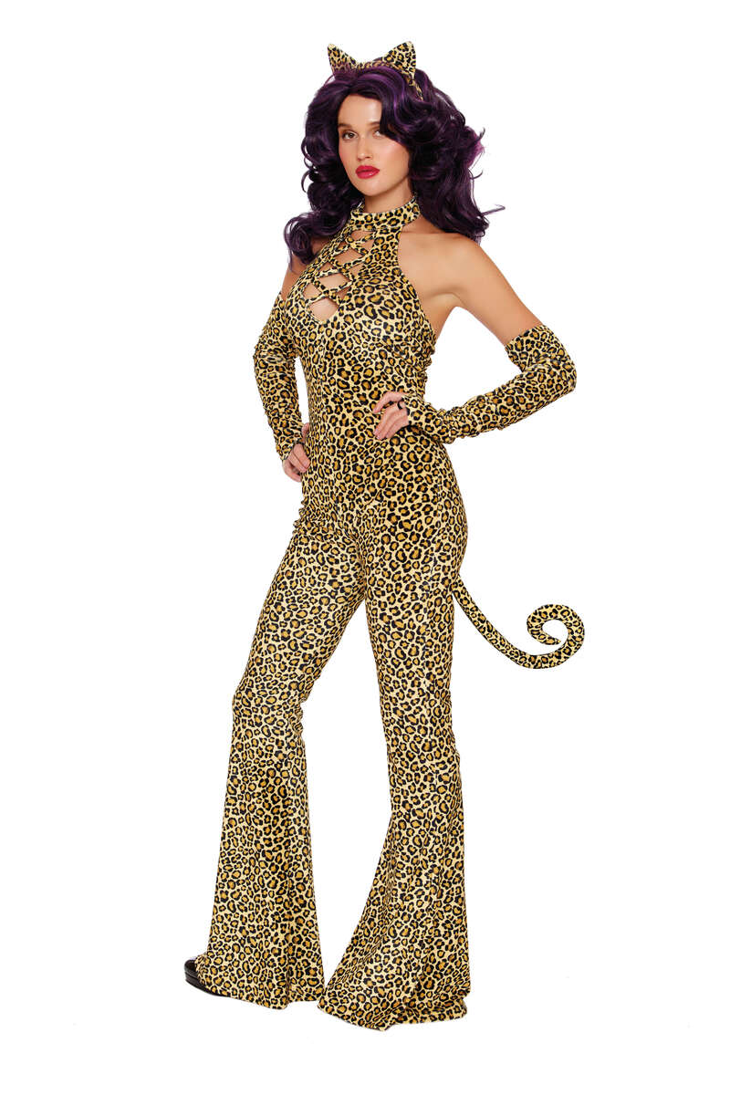 Here Kitty Kitty Costume