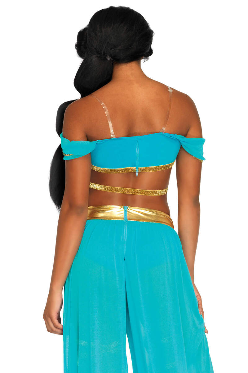 Oasis Princess Costume Blue Back Closeup