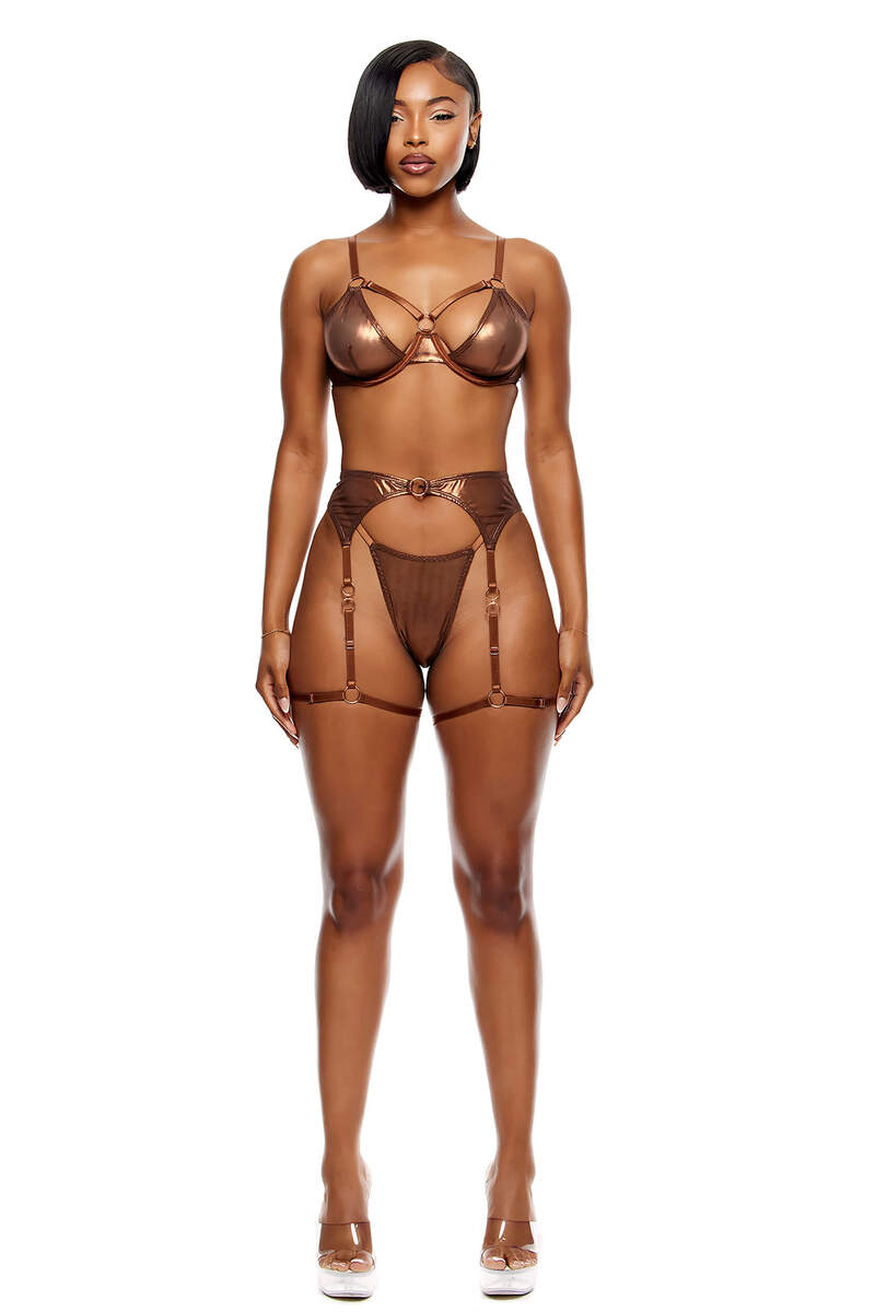 Liquid Metal Metallic Mesh Bra and Garter Belt Lingerie Set