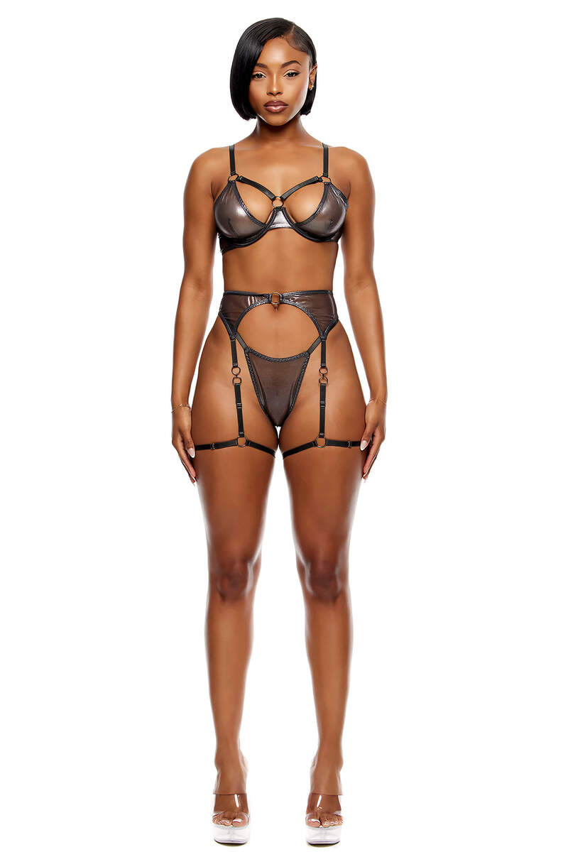 Liquid Metal Metallic Mesh Bra and Garter Belt Lingerie Set