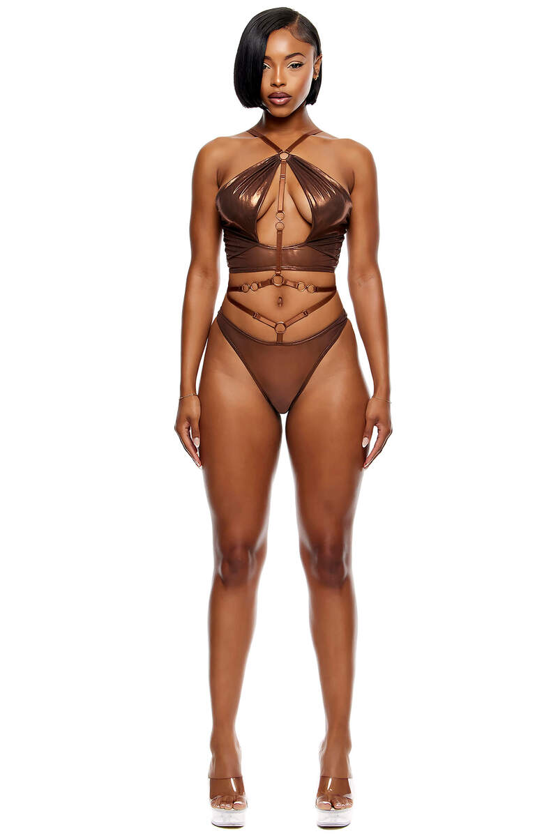 Liquid Metal Metallic Mesh Halterneck Bra Lingerie Set