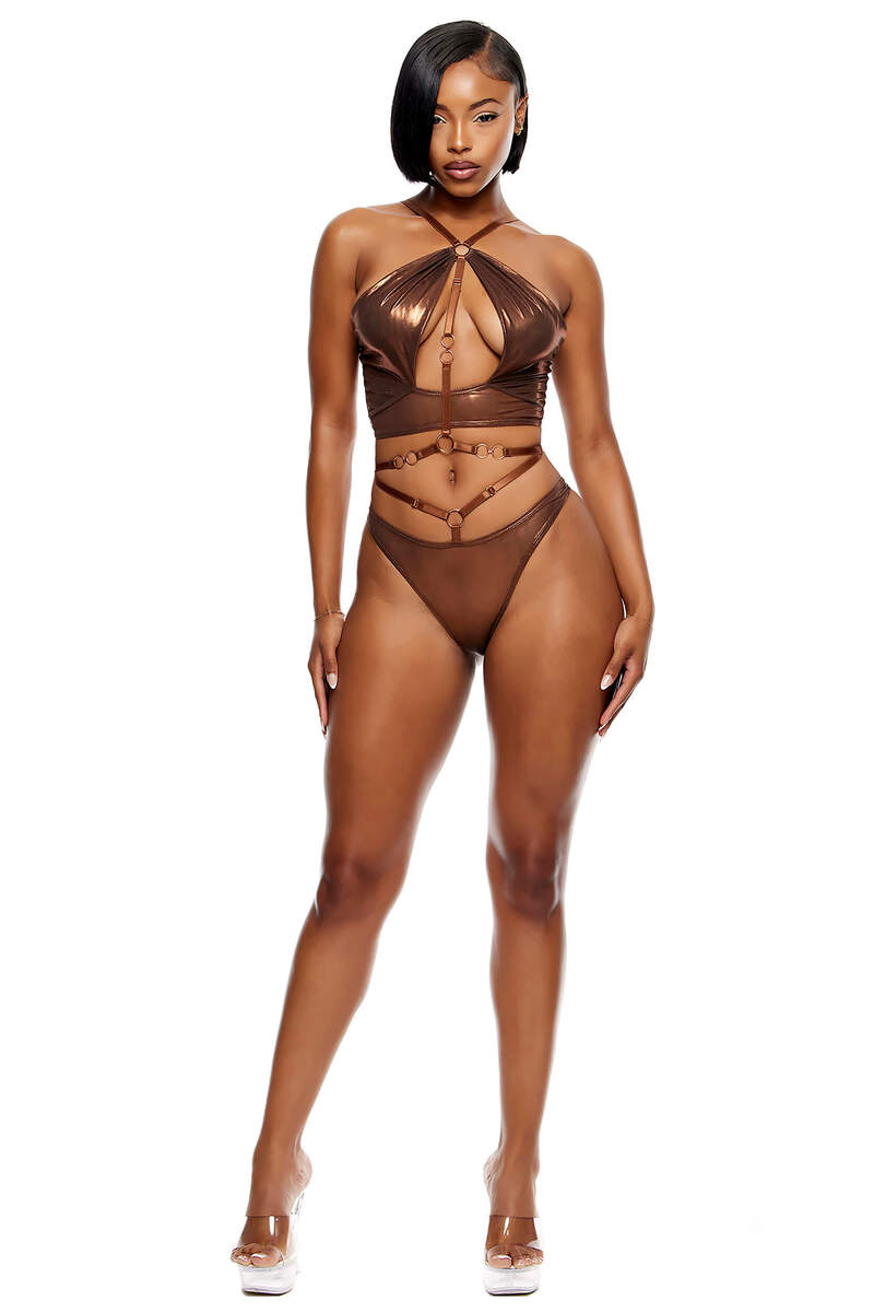 Liquid Metal Metallic Mesh Halterneck Bra Lingerie Set