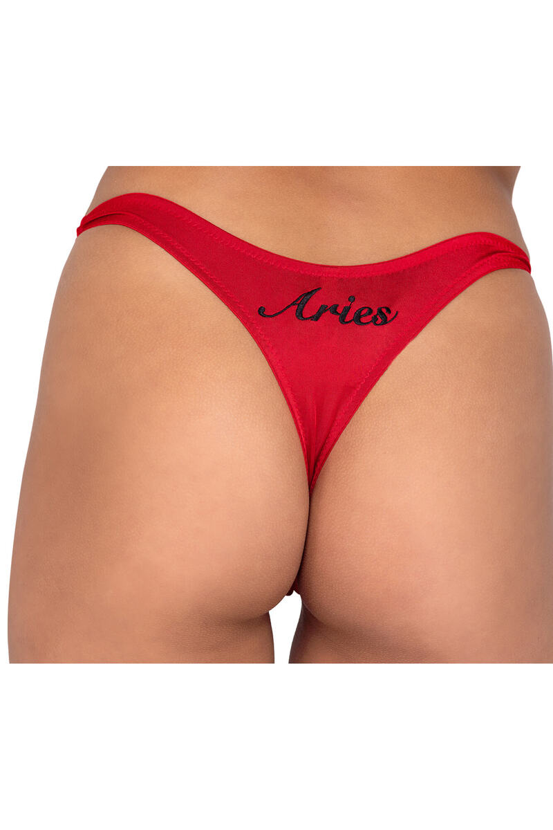 Zodiac Aquarius Panty