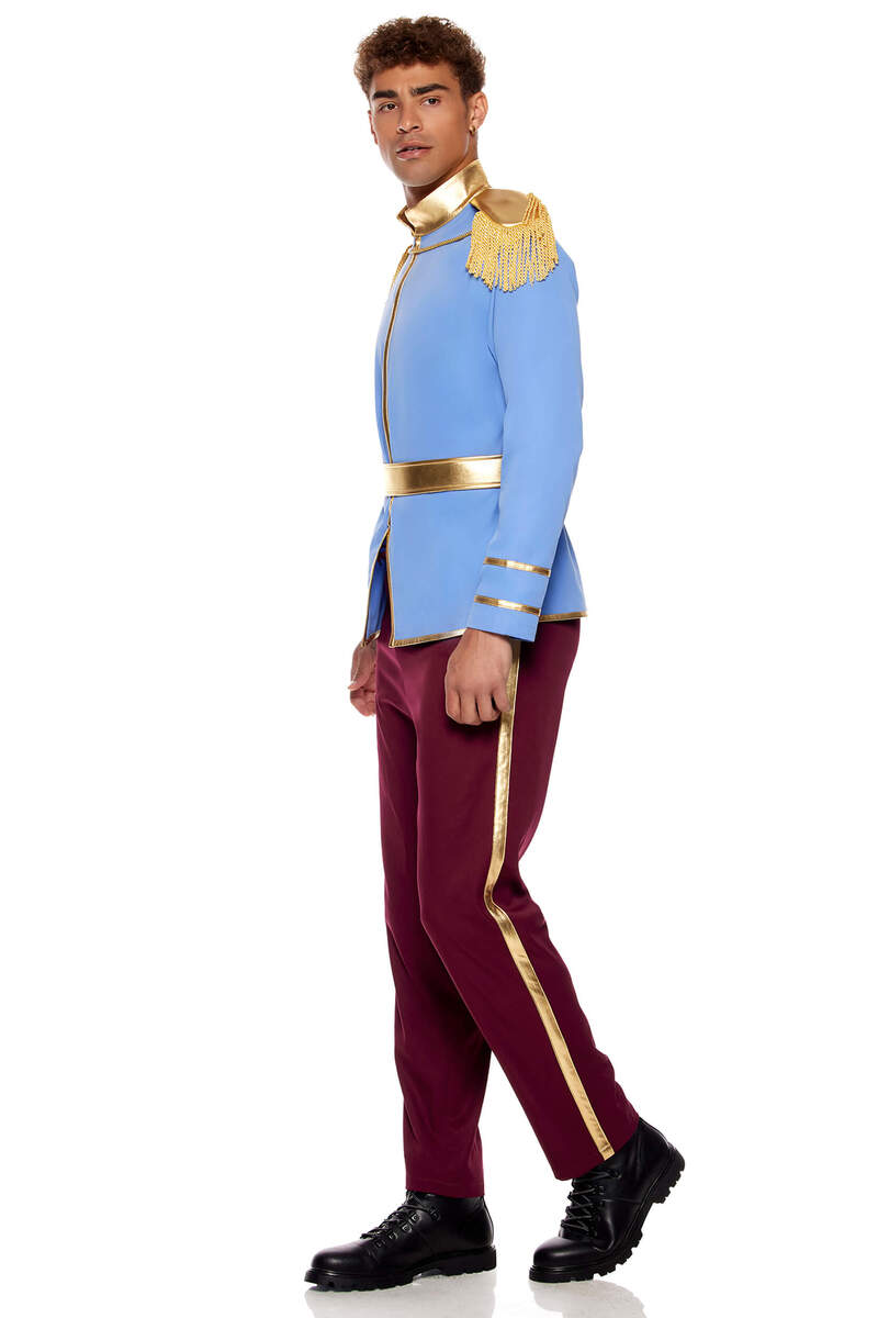So Charming Men's Prince Costume Blue Side