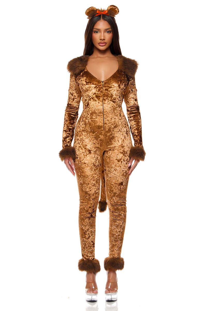 No Courage Storybook Costume Brown Front Still