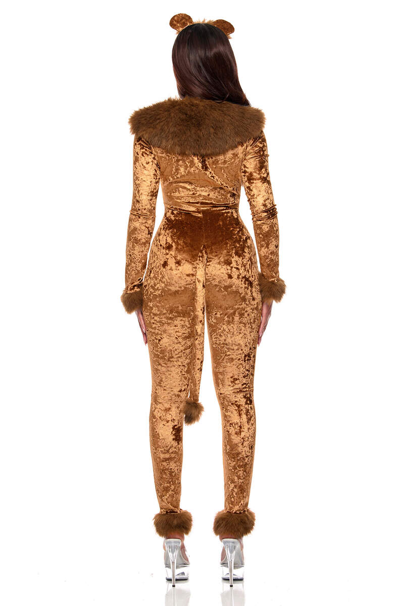 No Courage Storybook Costume Brown Back