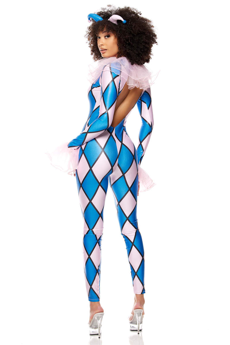 Take a Jest Clown Costume Back