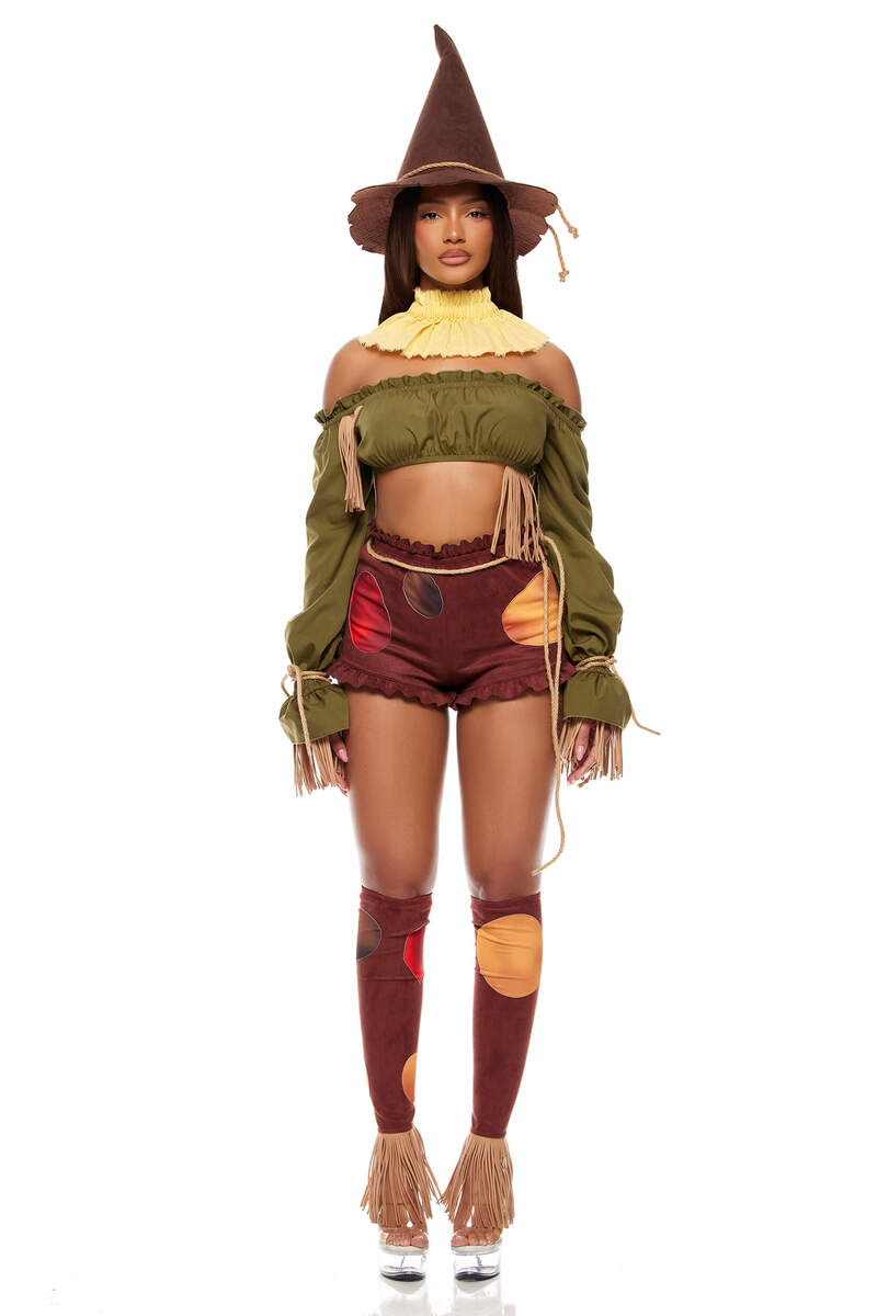 Straw For Brains Storybook Costume Front
