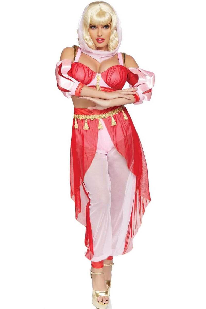 Dreamy Genie Costume