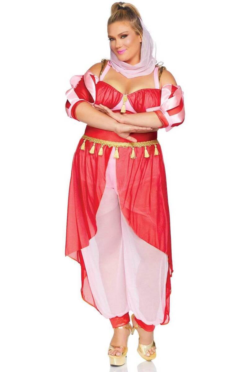 Plus Size Dreamy Genie Costume