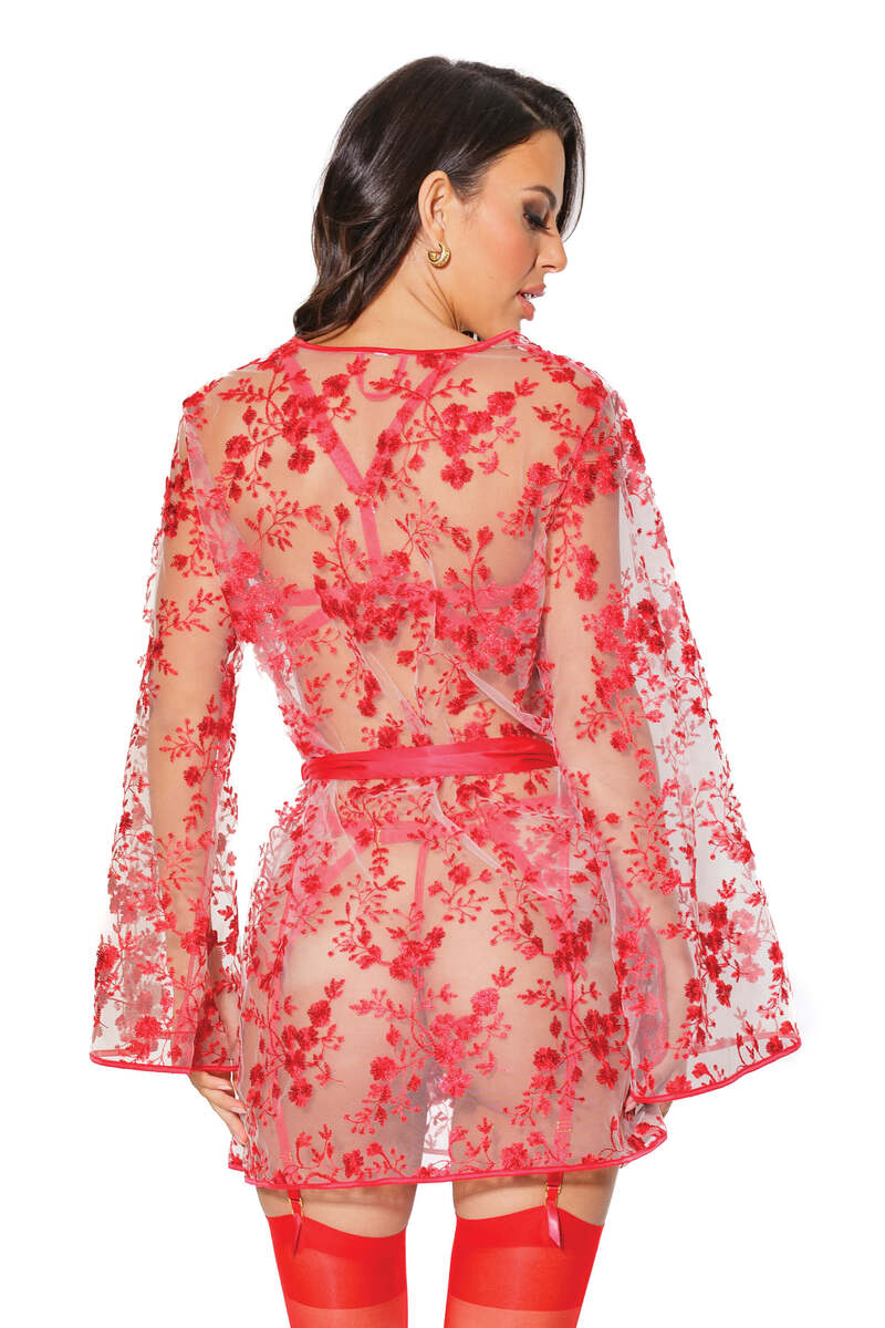 Sheer Affair Embroidered Robe Red Back