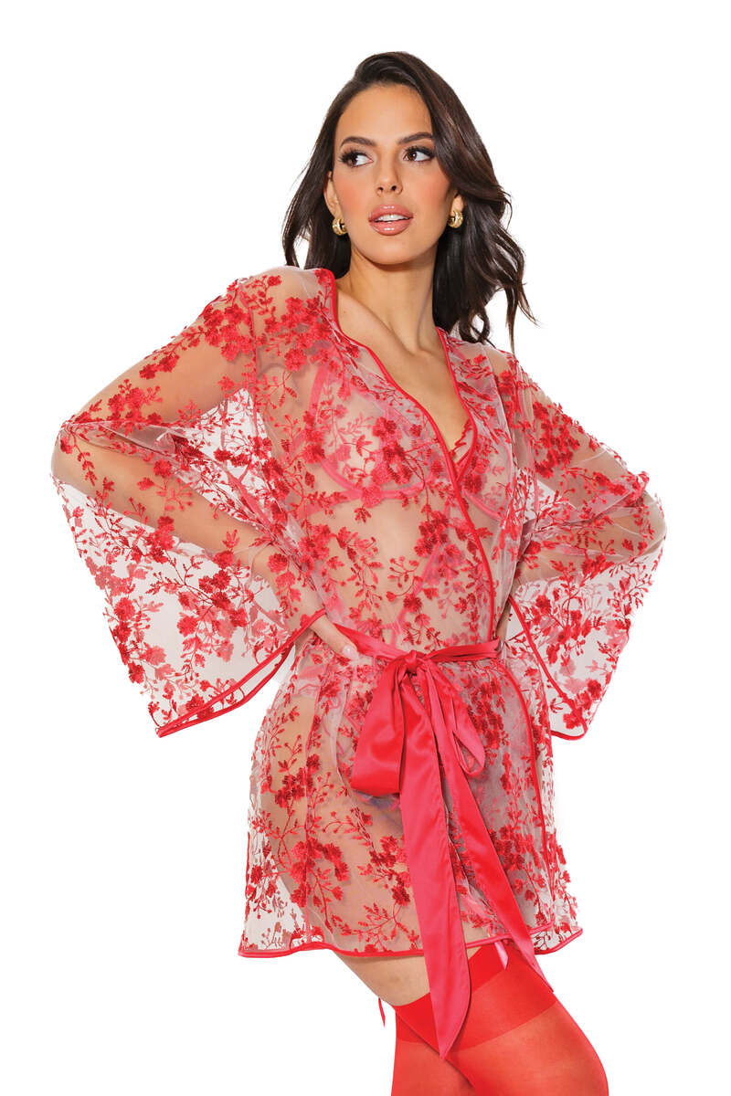 Sheer Affair Embroidered Robe Red Front