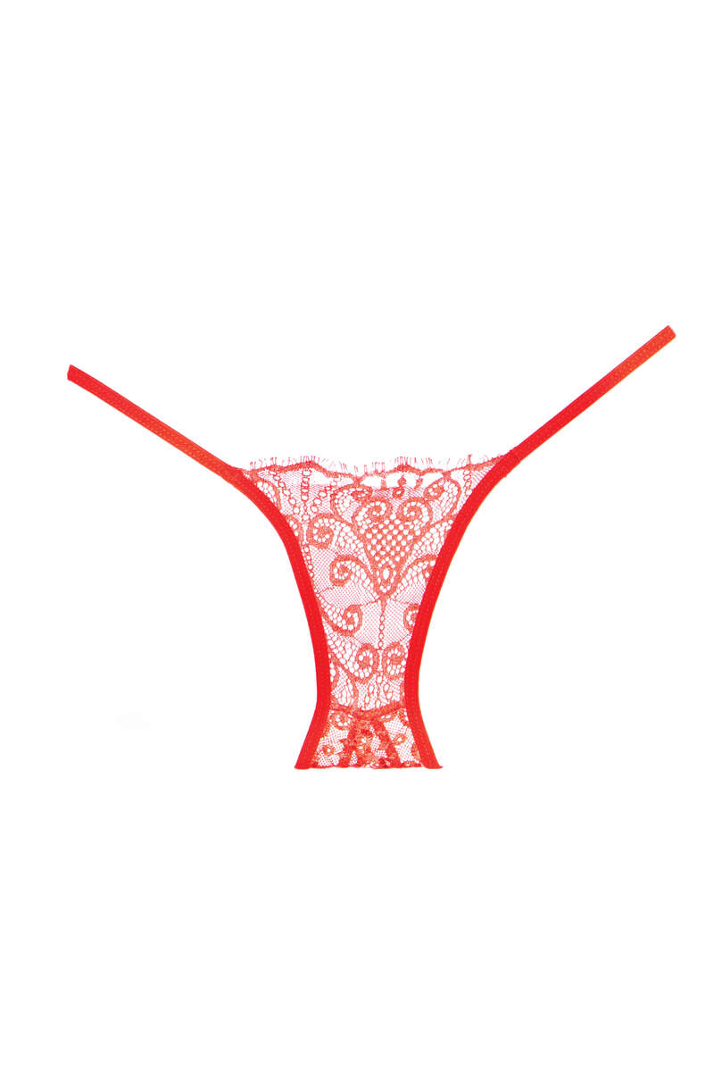 Enchanted Belle Lace Panty
