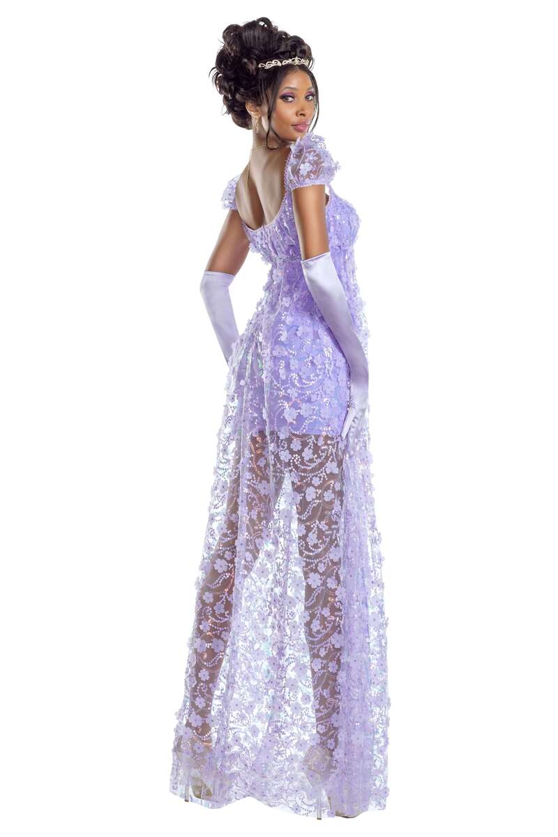 Regency Reverie Costume Back
