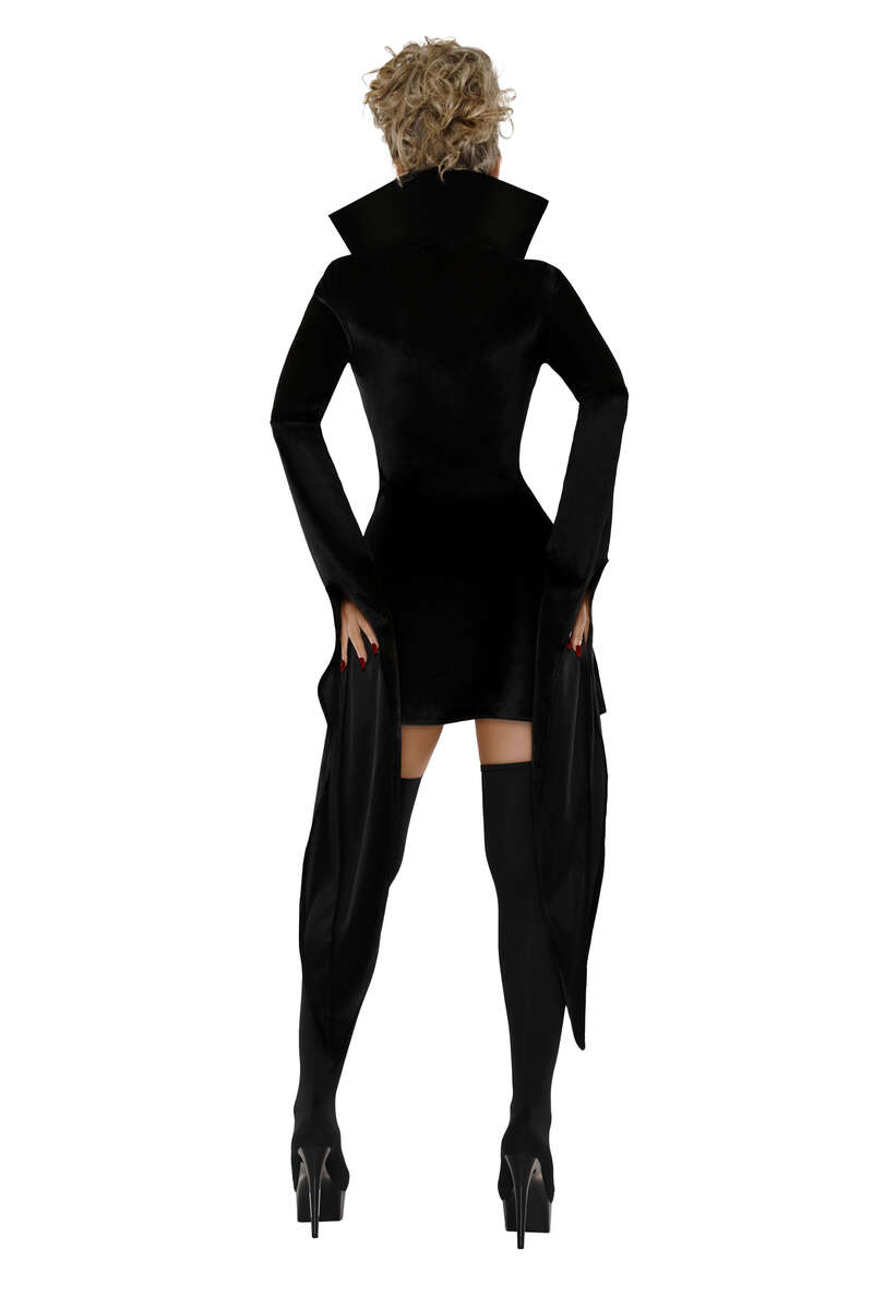 Blood Countess Vampire Costume Back