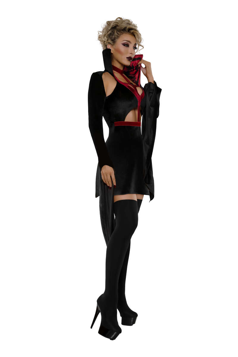 Blood Countess Vampire Costume Side