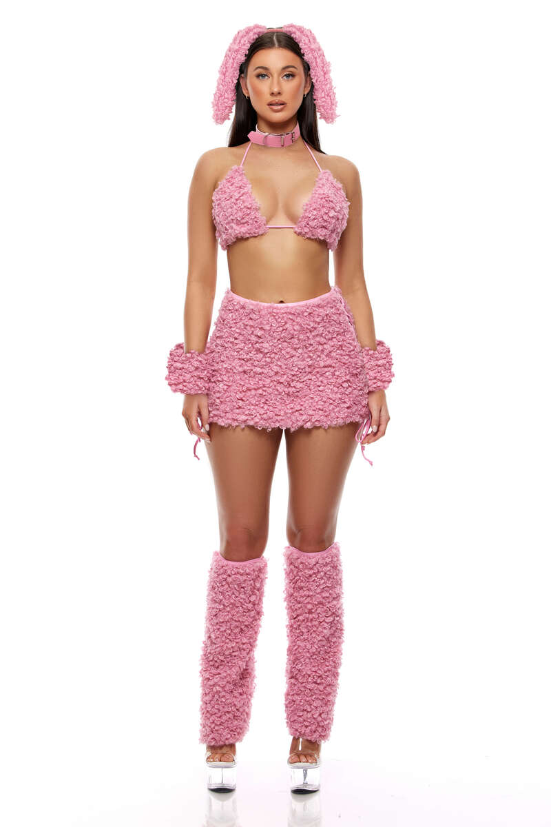 Hold My Poodle Costume Set Pink Front