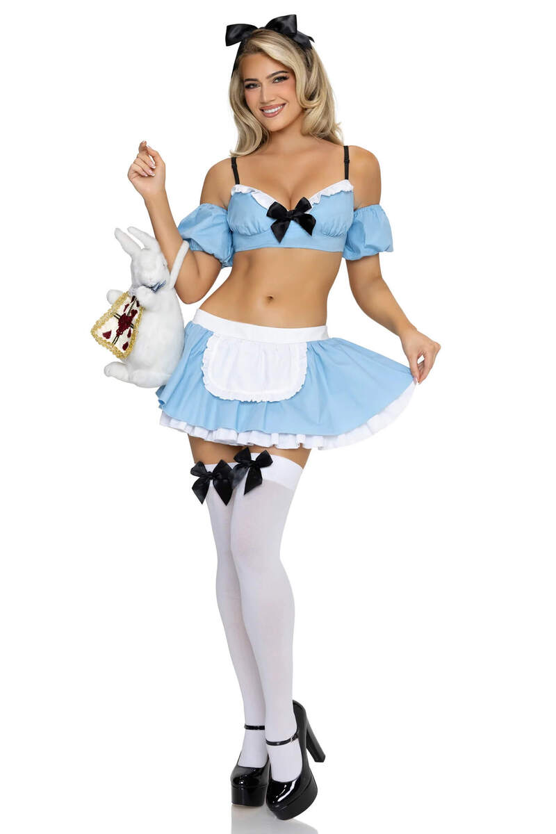 Wonderland Alice Costume Blue Front