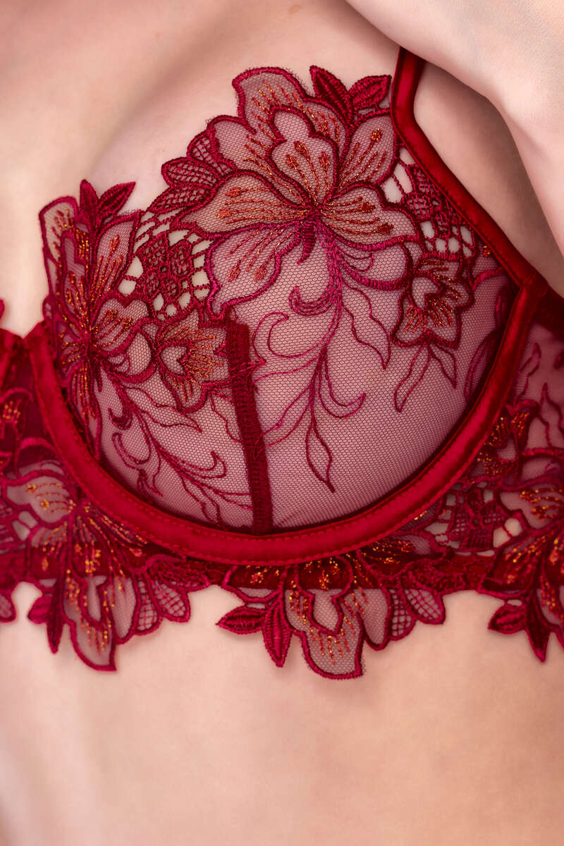 Crimson Ember Embroidered Bra & Panty Set Pink Front Bra Closeup